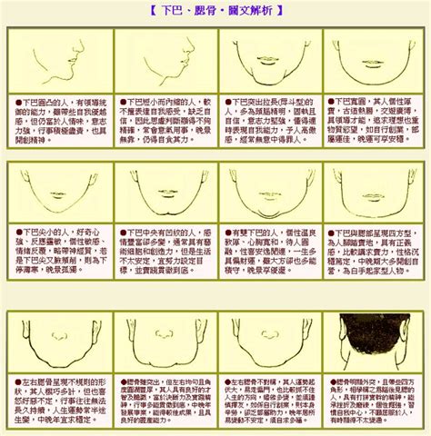 長下巴面相|下巴面相｜9種解析：雙下巴注定貴婦命，下巴兜兜晚年無憂，姻 